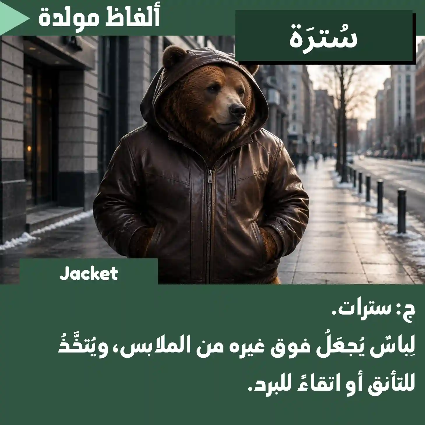 سُترَة (Jacket)