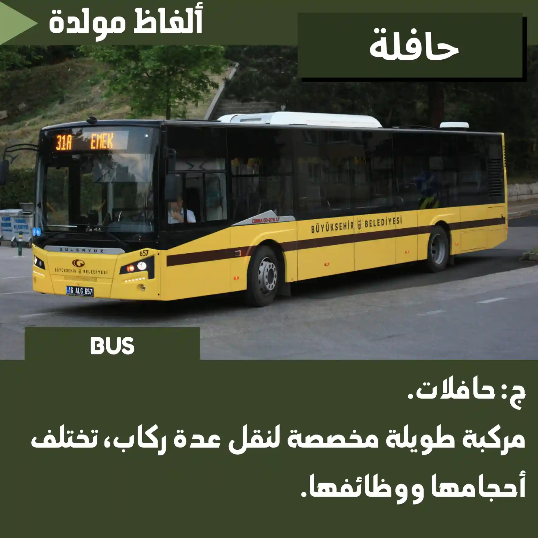 حافلة (Bus)