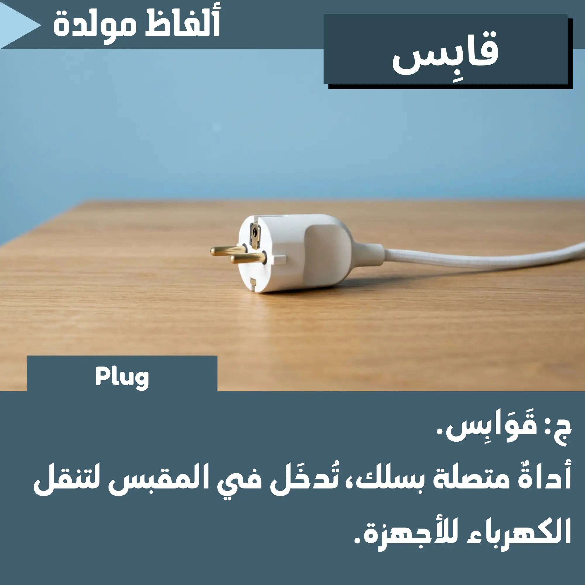 قَابِس (Plug)