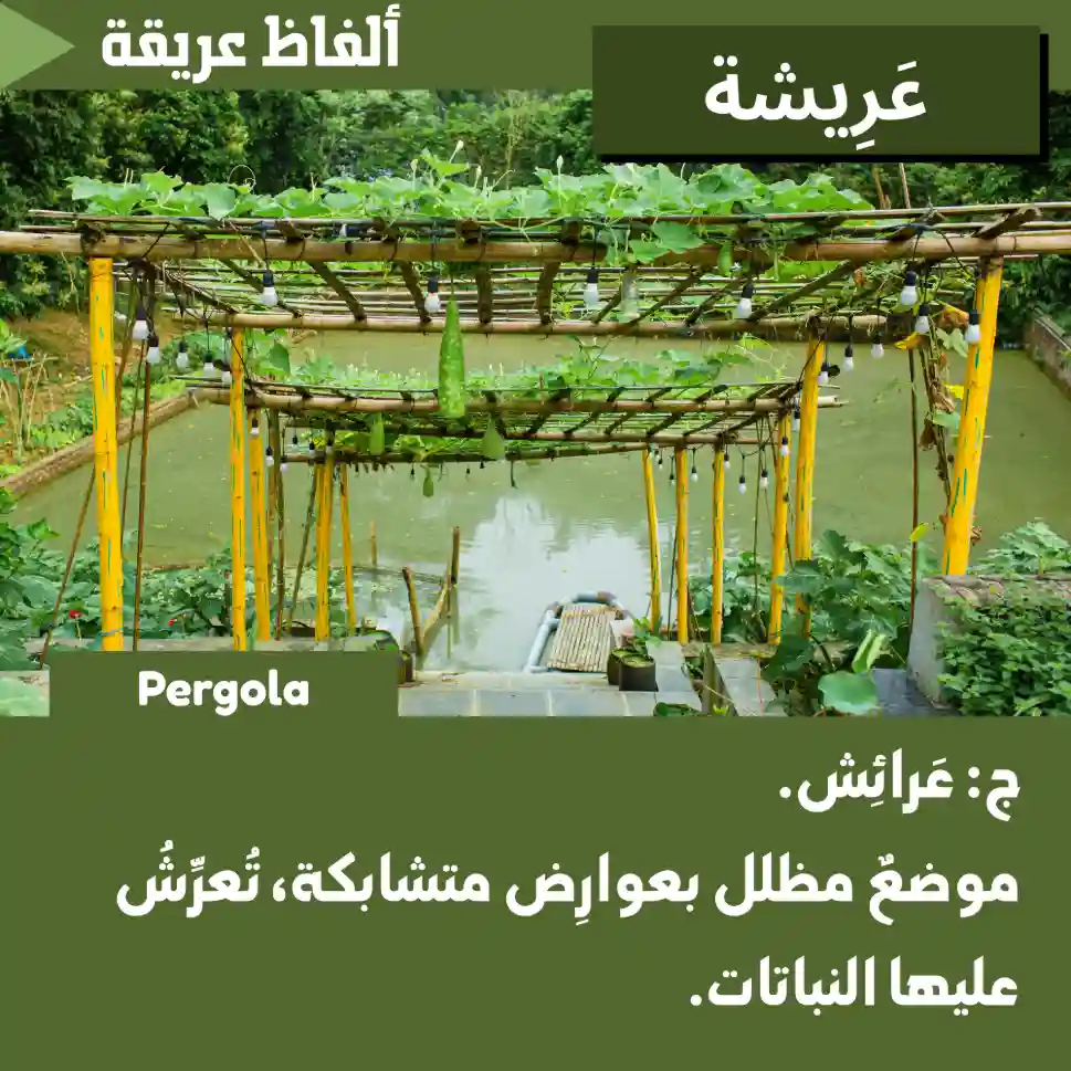 عَرِيشَة (Pergola)